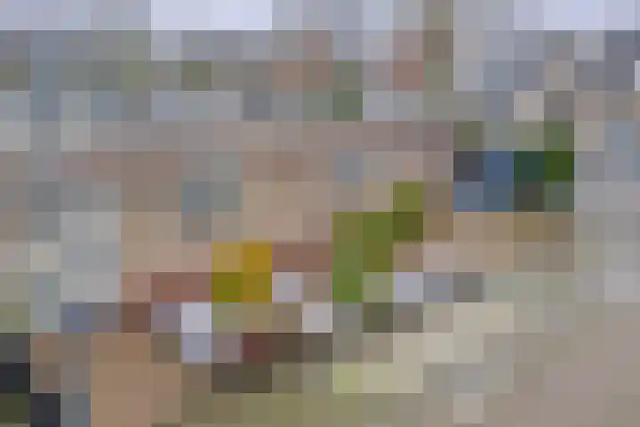 Rendierlaan 6 Helmond thumbnail 5