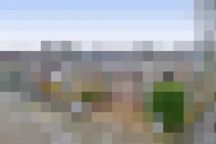 Rendierlaan 6 Helmond thumbnail 8
