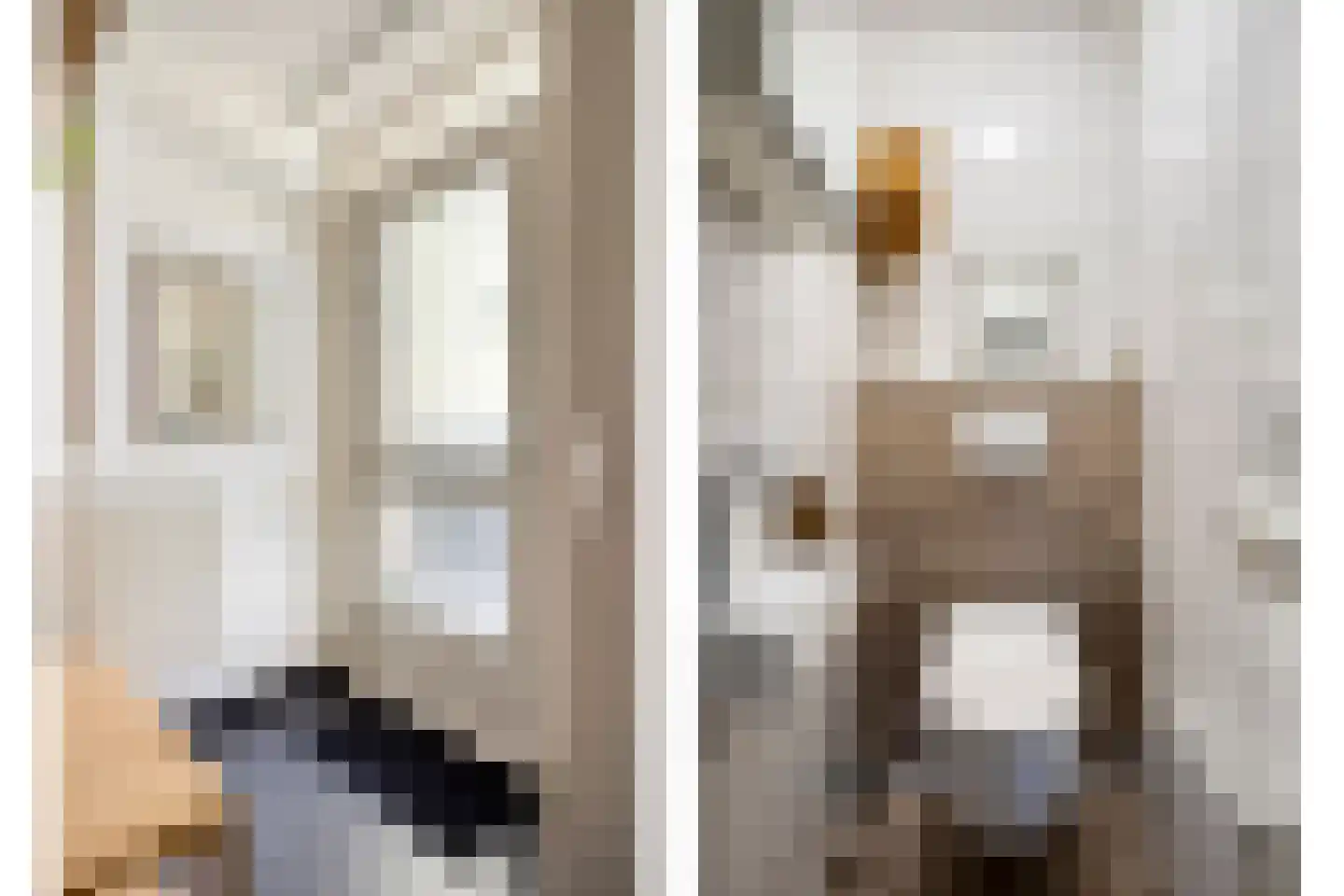 Rendiermos 2 Bergschenhoek thumbnail 13