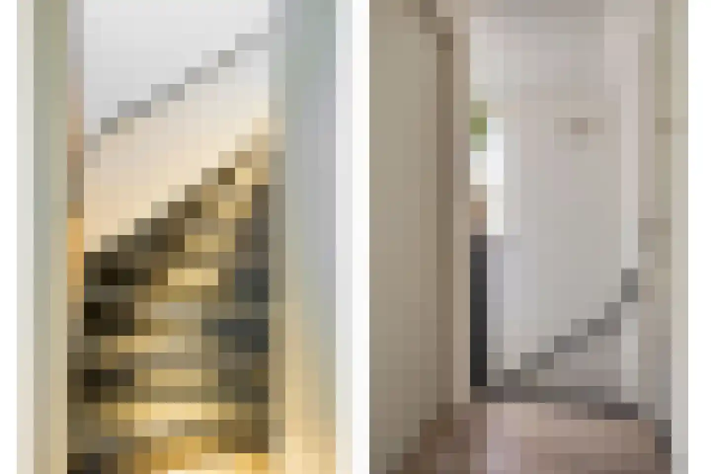 Rendiermos 2 Bergschenhoek thumbnail 16