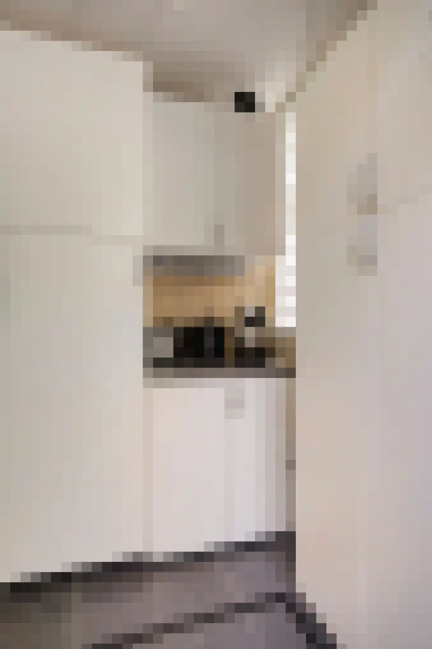 Rendiermos 2 Bergschenhoek thumbnail 17