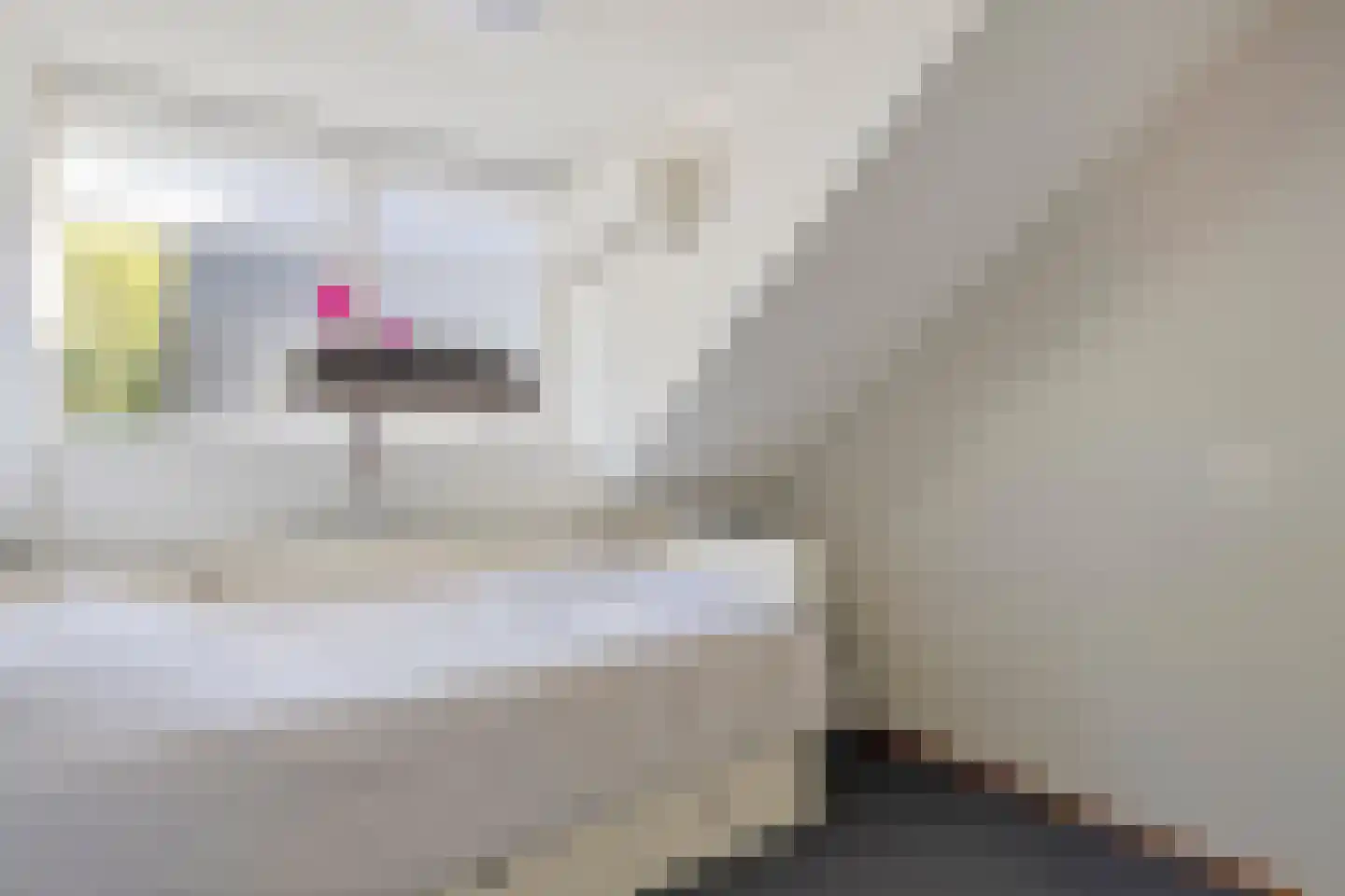Rendiermos 2 Bergschenhoek thumbnail 25