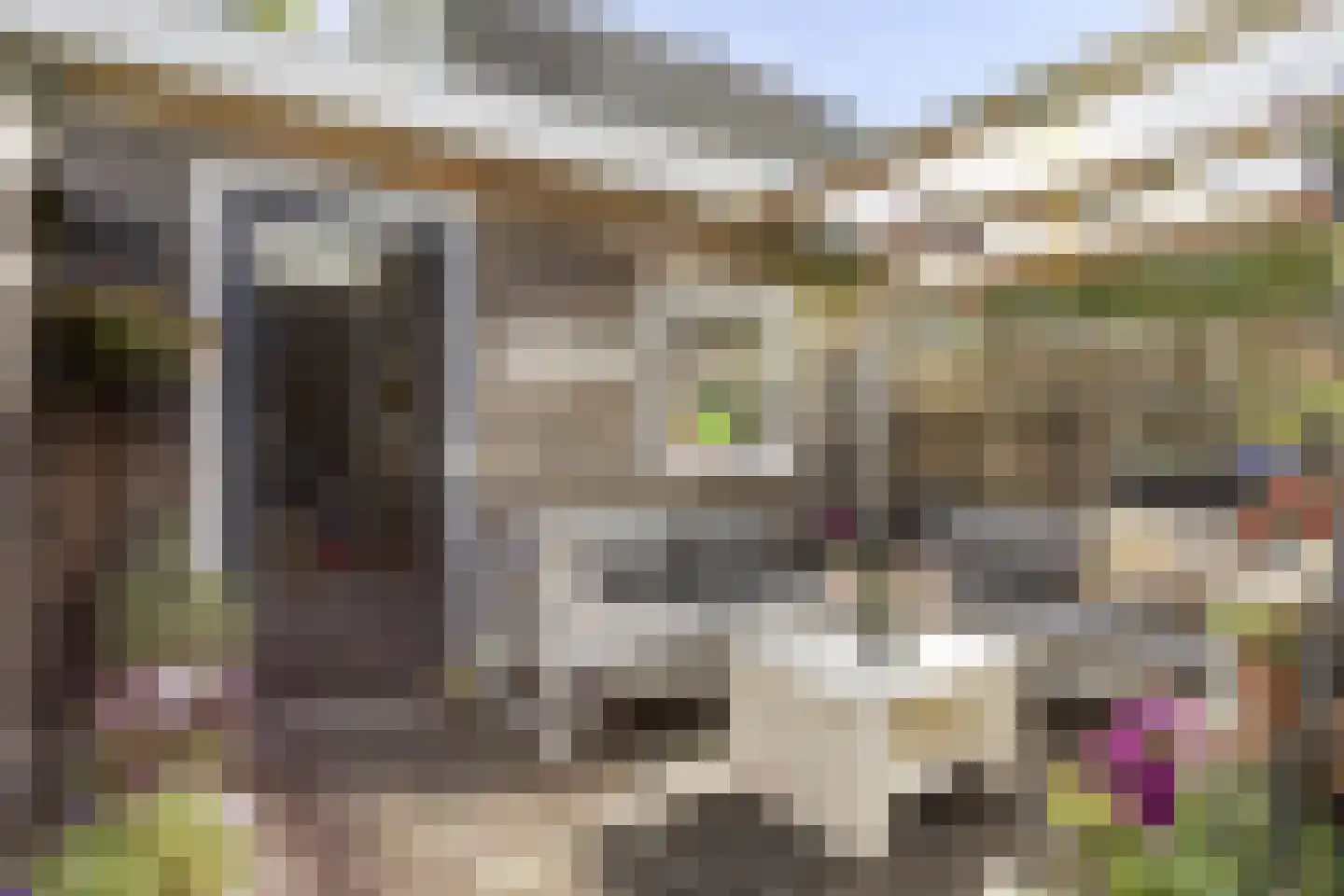 Rendiermos 2 Bergschenhoek thumbnail 26