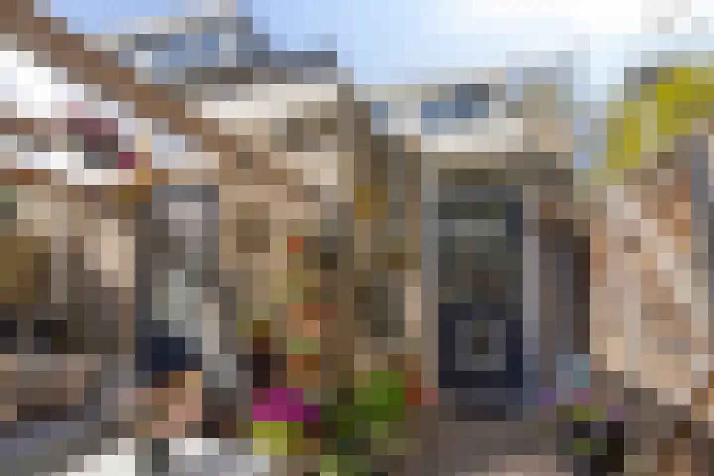 Rendiermos 2 Bergschenhoek thumbnail 27