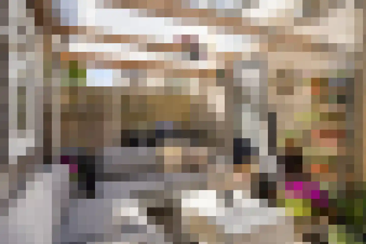Rendiermos 2 Bergschenhoek thumbnail 28
