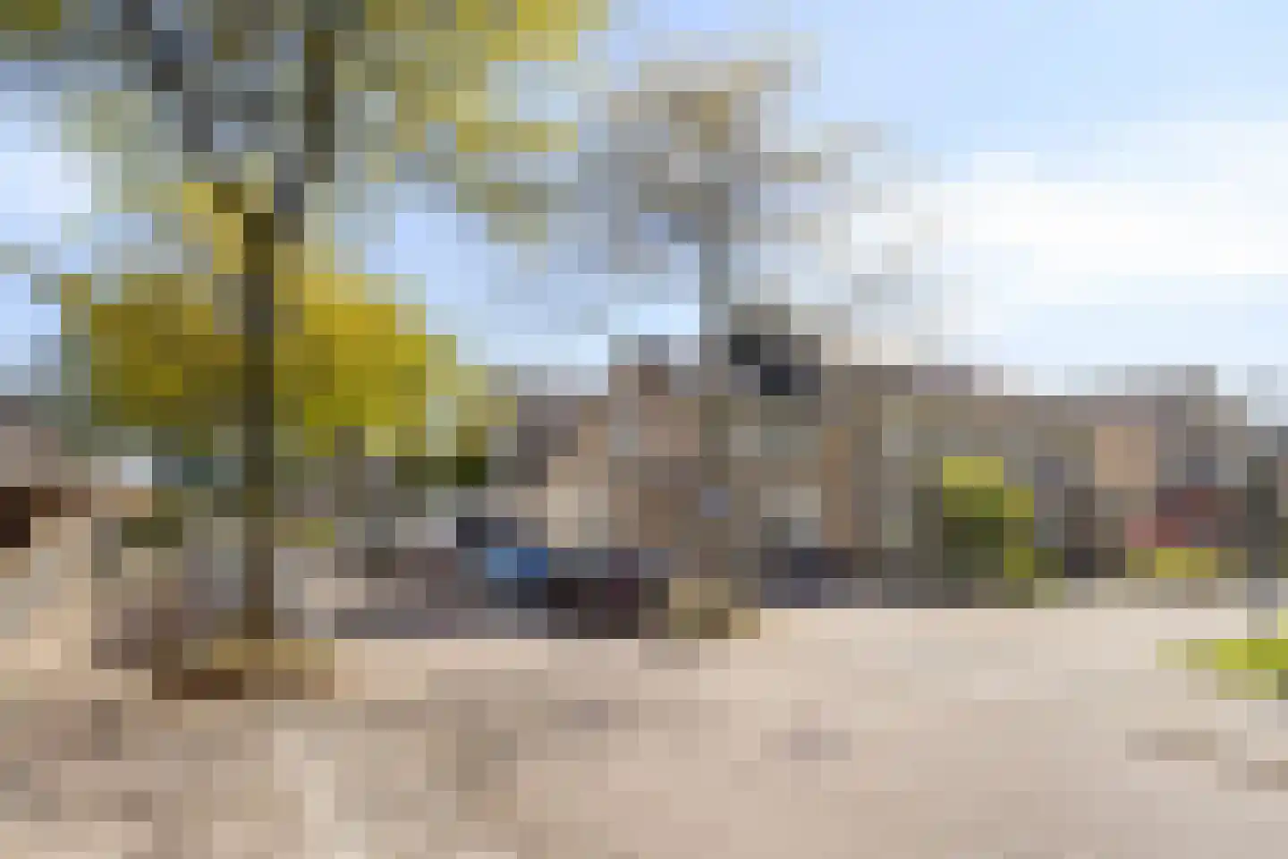 Rendiermos 2 Bergschenhoek thumbnail 30