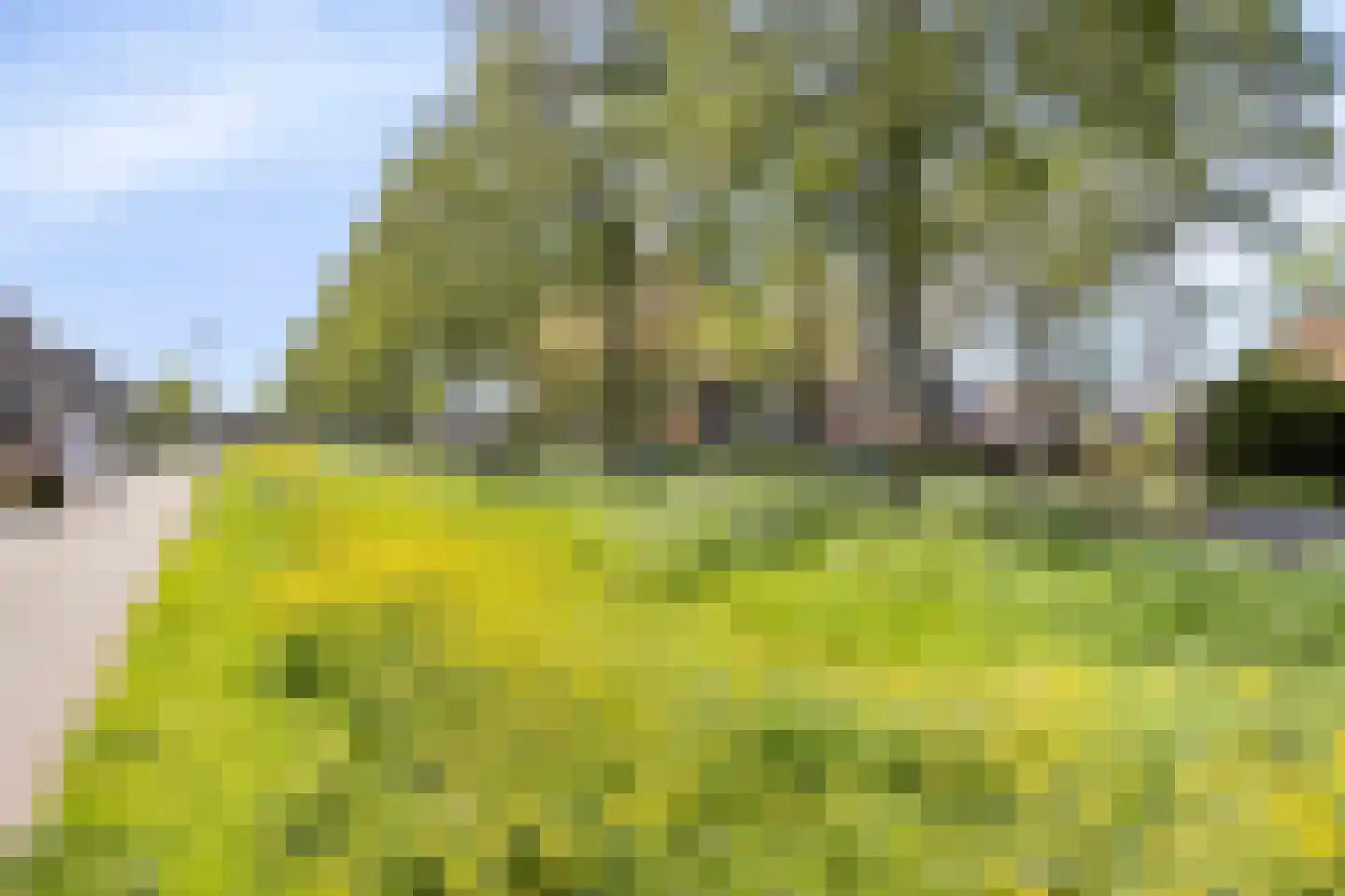 Rendiermos 2 Bergschenhoek thumbnail 31
