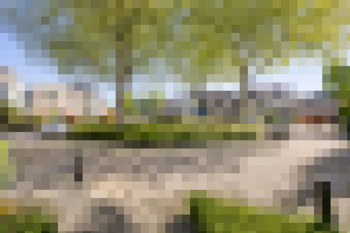 Rendiermos 2 Bergschenhoek thumbnail 34