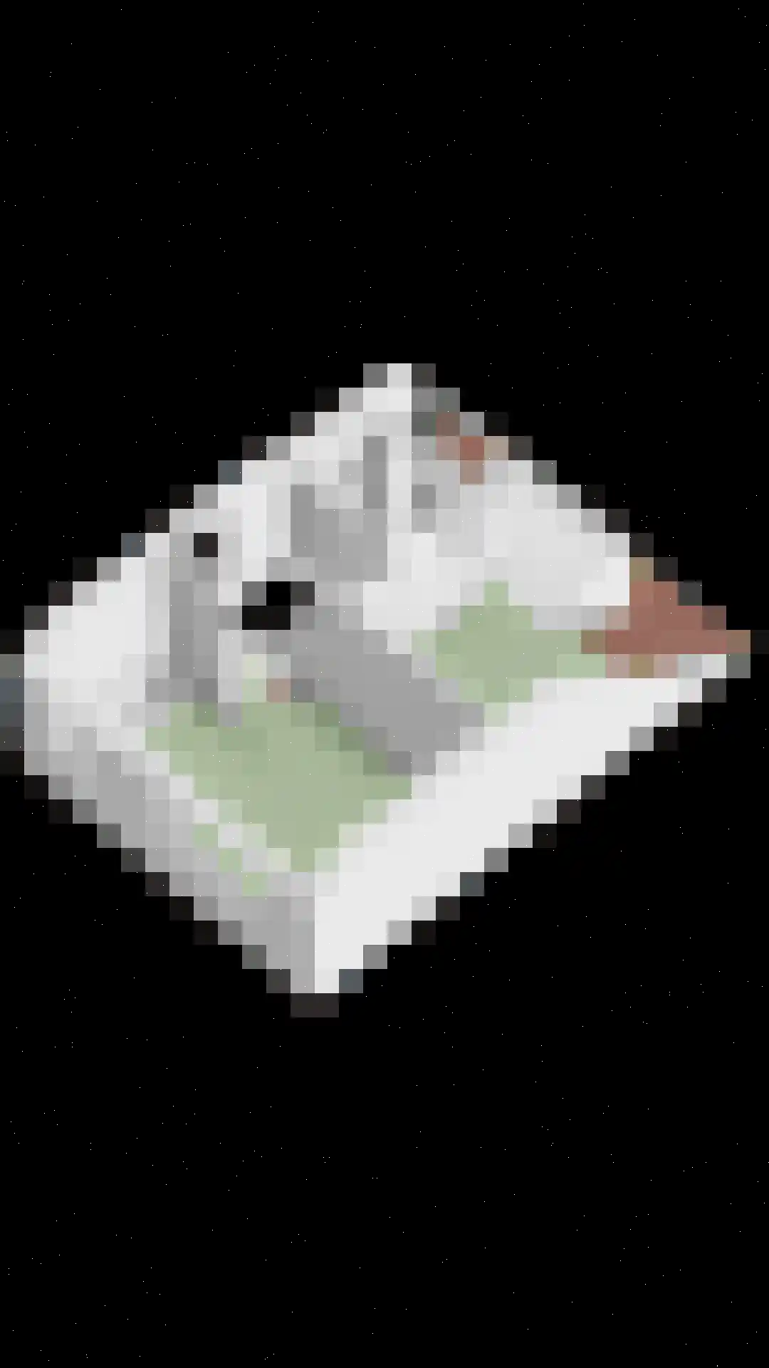 Rendiermos 2 Bergschenhoek thumbnail 40