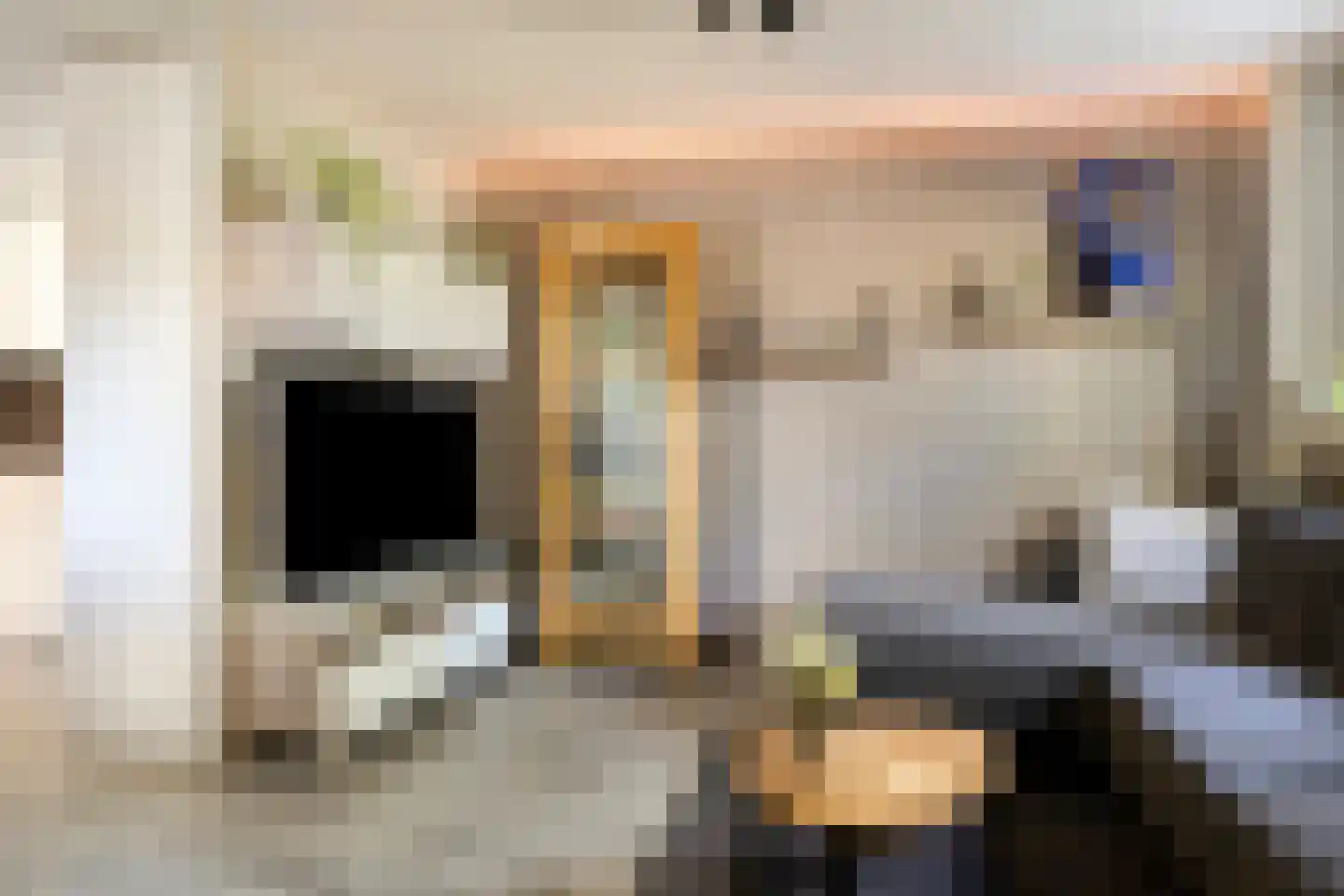 Rendiermos 2 Bergschenhoek thumbnail 7