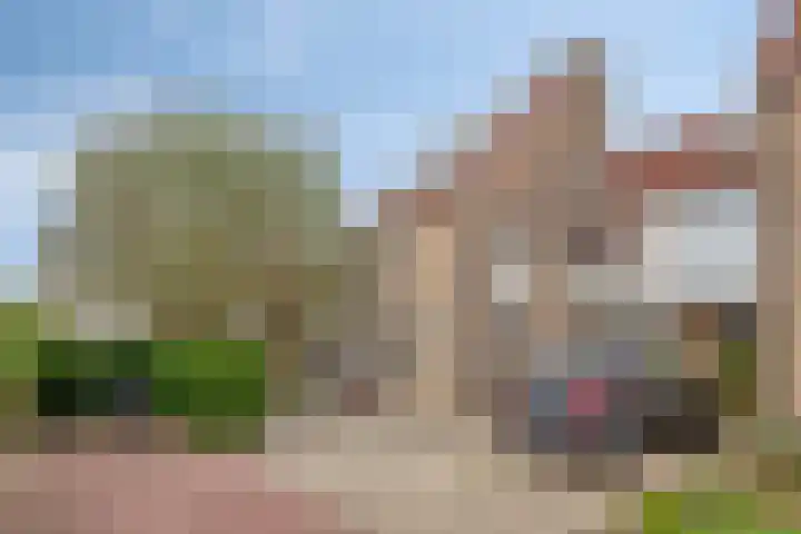 Rendiermos 22 Reeuwijk