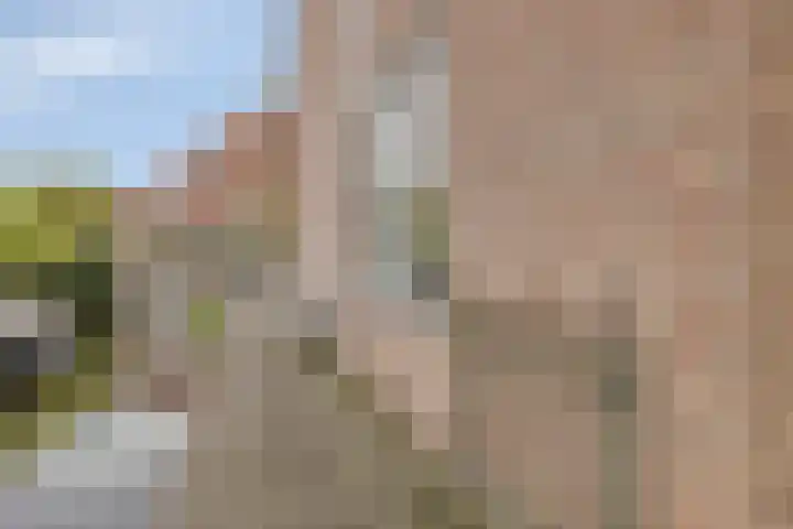 Rendiermos 22 Reeuwijk thumbnail 19
