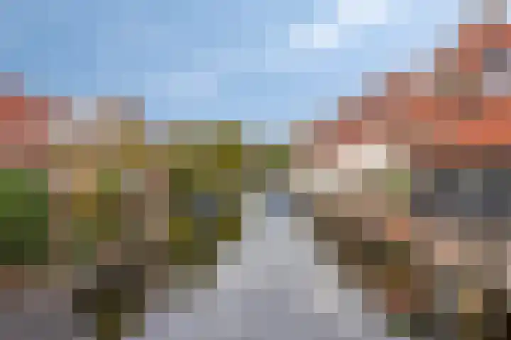 Rendiermos 22 Reeuwijk thumbnail 20