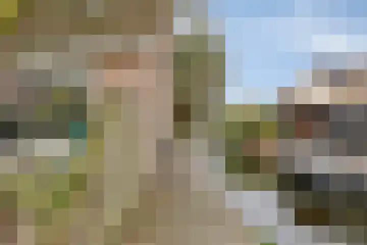 Rendiermos 22 Reeuwijk thumbnail 21