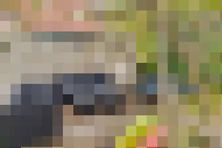 Rendiermos 22 Reeuwijk thumbnail 23
