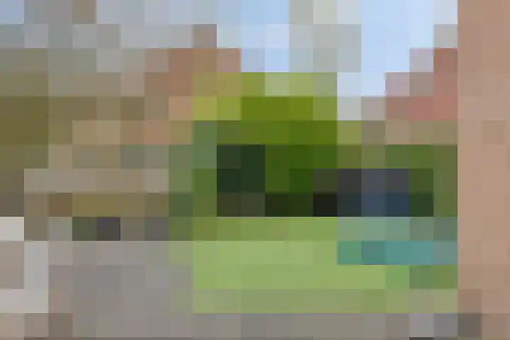 Rendiermos 22 Reeuwijk thumbnail 24