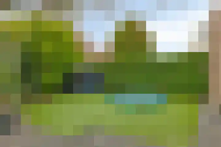 Rendiermos 22 Reeuwijk thumbnail 25