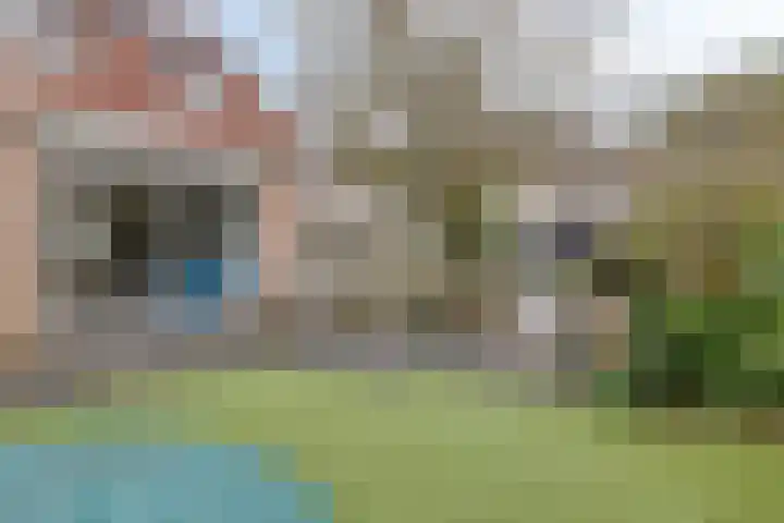 Rendiermos 22 Reeuwijk thumbnail 27