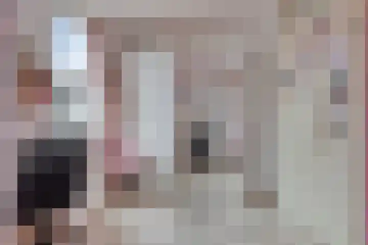 Rendiermos 22 Reeuwijk thumbnail 33