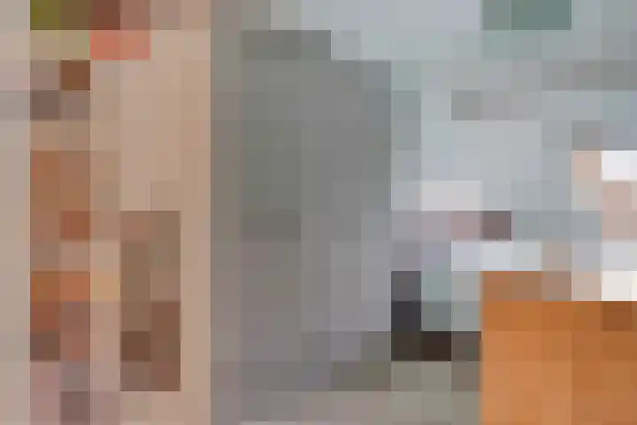 Rendiermos 22 Reeuwijk thumbnail 34