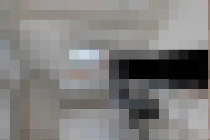 Rendiermos 22 Reeuwijk thumbnail 36
