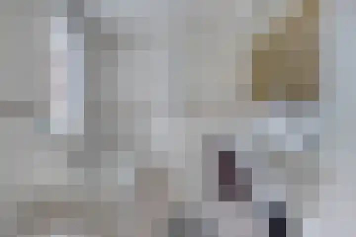 Rendiermos 22 Reeuwijk thumbnail 4