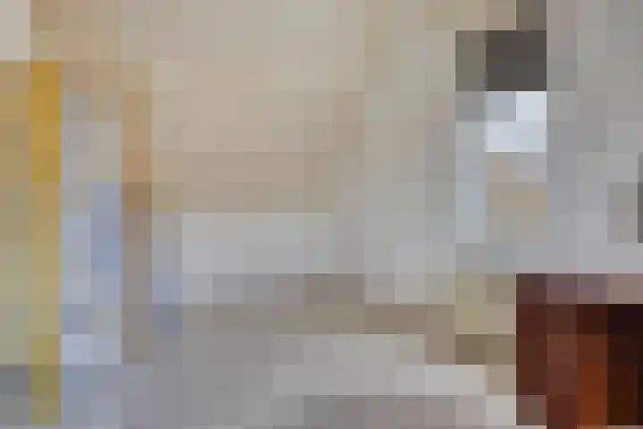 Rendiermos 22 Reeuwijk thumbnail 40