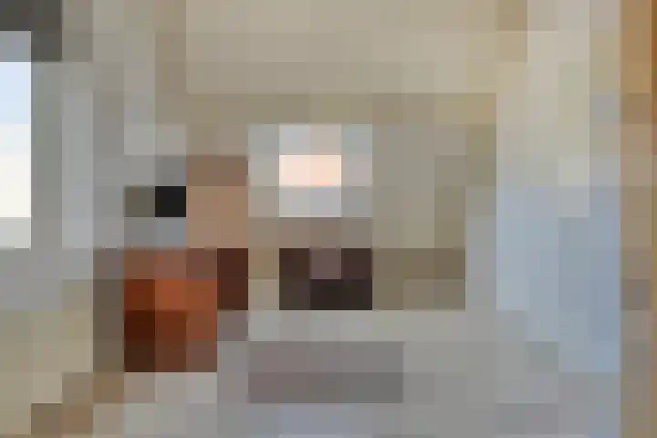 Rendiermos 22 Reeuwijk thumbnail 41