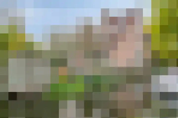 Rendiermos 22 Reeuwijk thumbnail 5