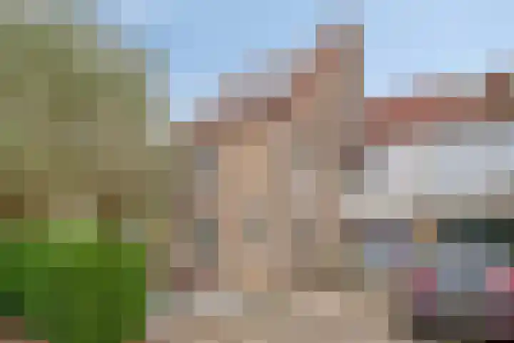 Rendiermos 22 Reeuwijk thumbnail 6