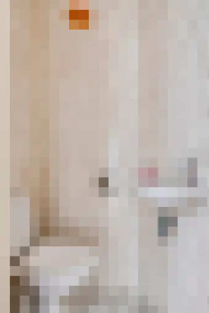 Rendiermos 22 Reeuwijk thumbnail 9