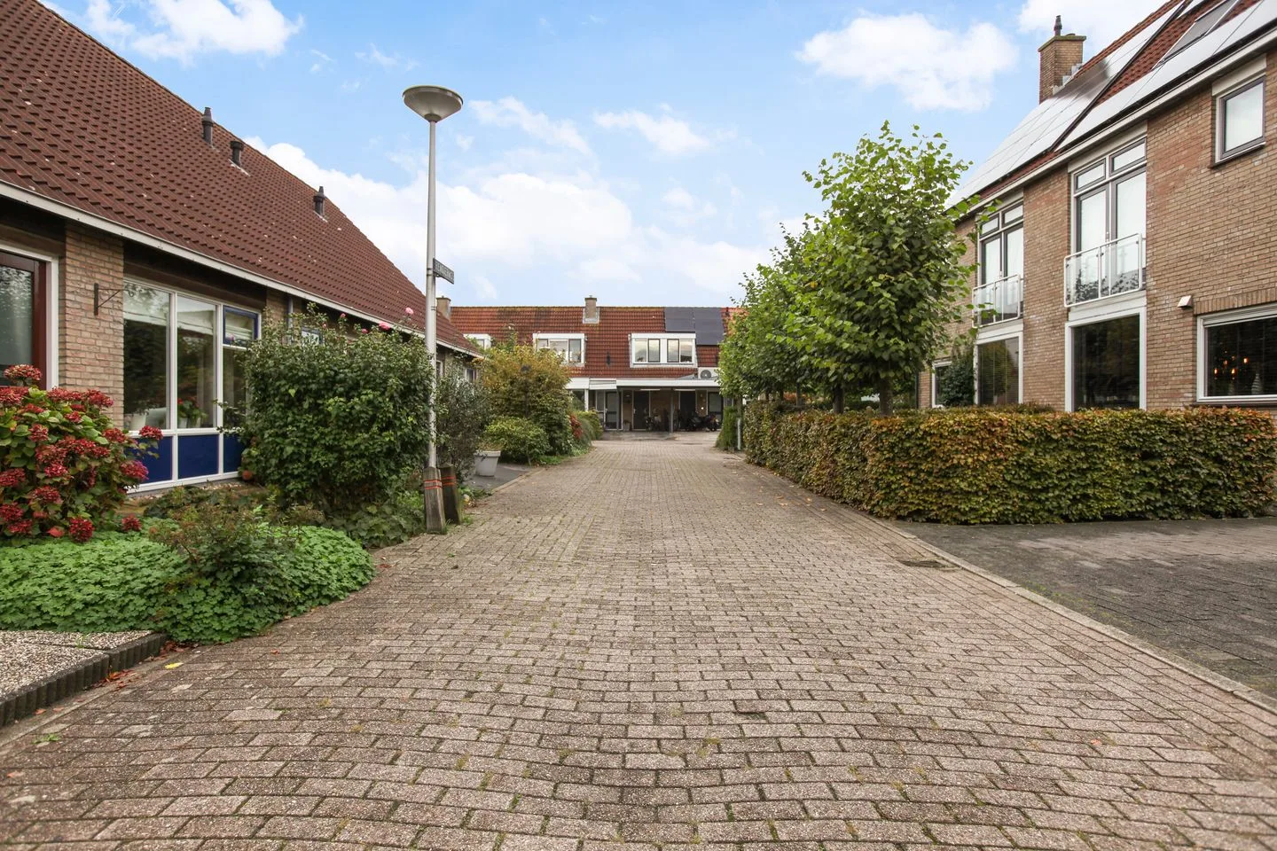 Rendiermos 26 Reeuwijk thumbnail 50