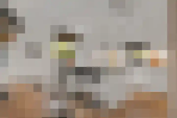 Rendiermos 6 Houten thumbnail 13