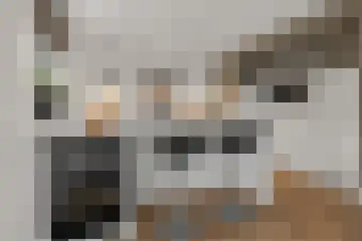 Rendiermos 6 Houten thumbnail 14