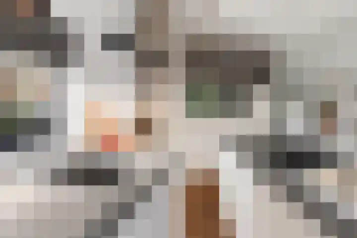 Rendiermos 6 Houten thumbnail 17