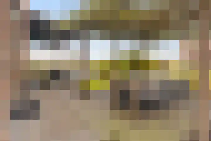 Rendiermos 6 Houten thumbnail 18