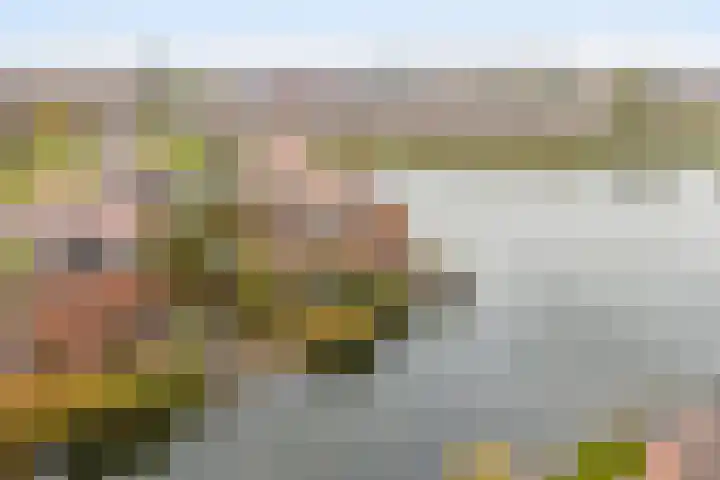 Rendiermos 6 Houten thumbnail 19