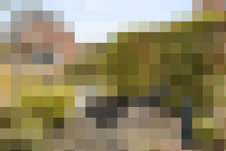 Rendiermos 6 Houten thumbnail 20