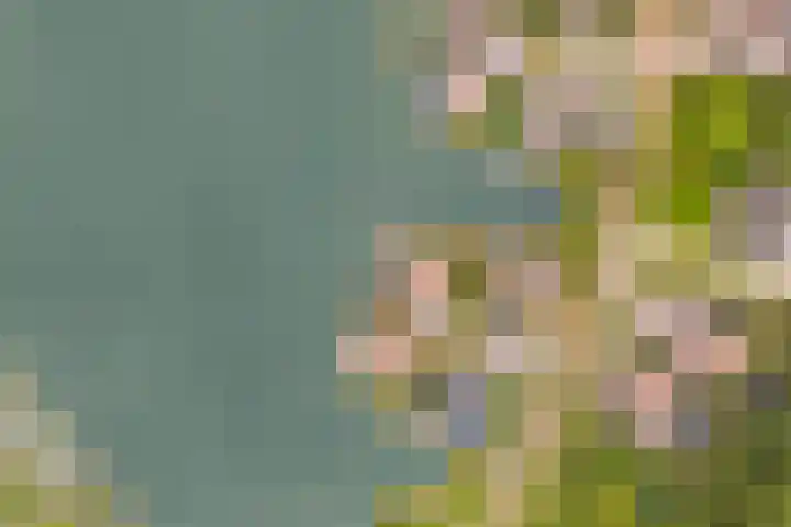 Rendiermos 6 Houten thumbnail 21
