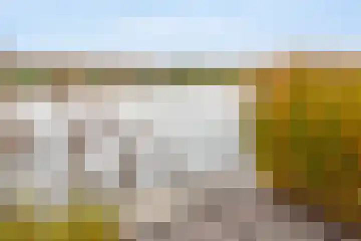 Rendiermos 6 Houten thumbnail 22