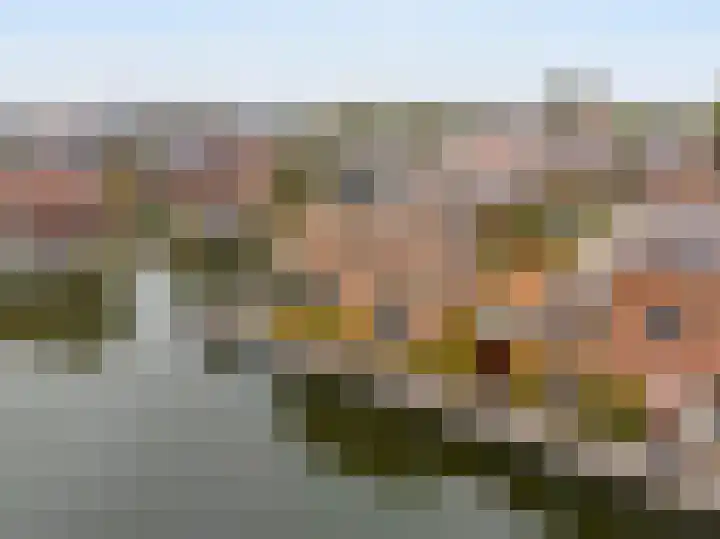 Rendiermos 6 Houten thumbnail 24