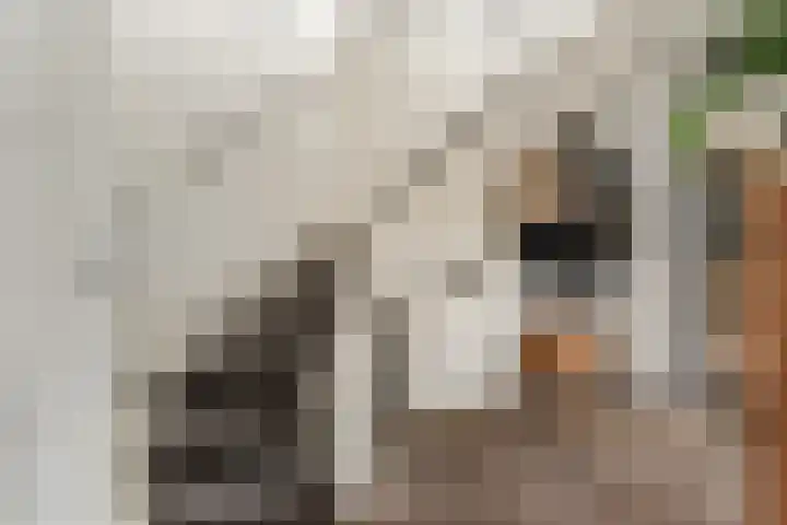 Rendiermos 6 Houten thumbnail 27