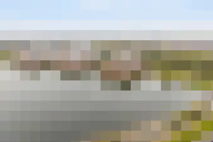 Rendiermos 6 Houten thumbnail 29