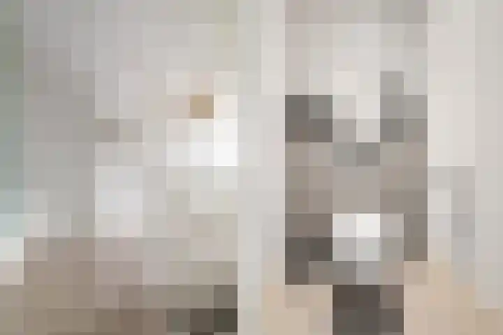 Rendiermos 6 Houten thumbnail 32
