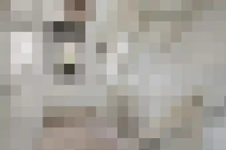 Rendiermos 6 Houten thumbnail 35