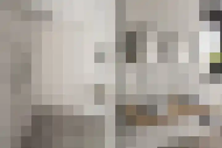 Rendiermos 6 Houten thumbnail 38
