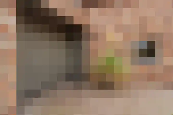 Rendiermos 6 Houten thumbnail 4