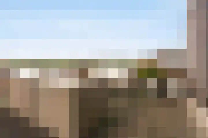 Rendiermos 6 Houten thumbnail 42