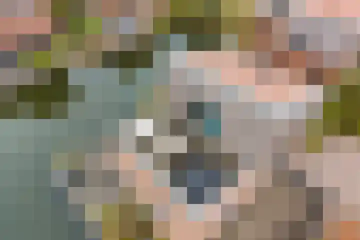 Rendiermos 6 Houten thumbnail 43