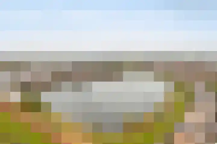 Rendiermos 6 Houten thumbnail 45